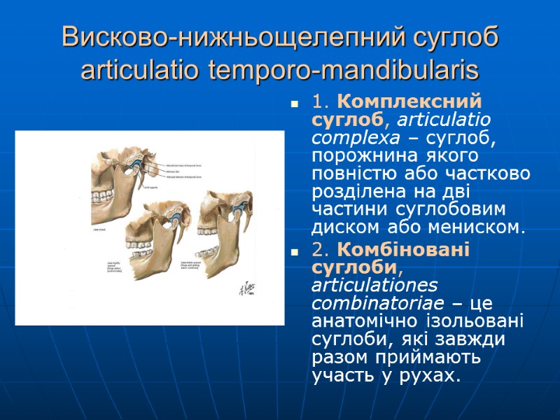 Висково-нижньощелепний суглоб articulatio temporo-mandibularis 1. Комплексний суглоб, articulatio complexa – суглоб, порожнина якого повністю